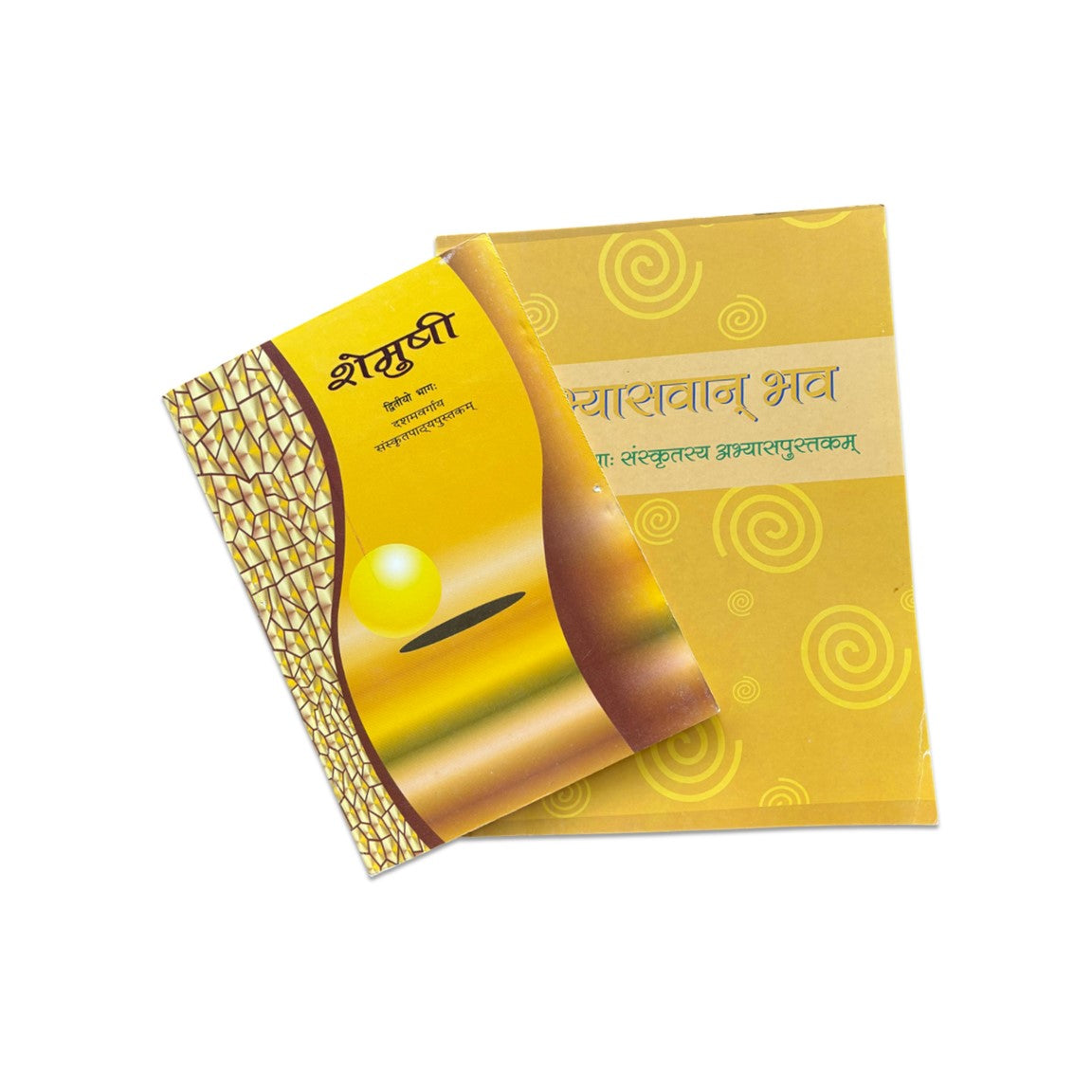 Sanskrit Book ( Textbook & Workbook ) – Grade 10 (A.Y. 2026-27)